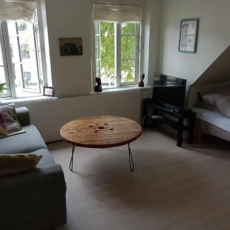 Professor Labri * Odense