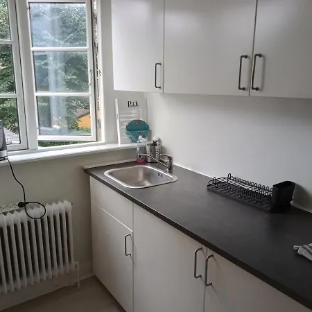 Professor Labri Apartamento Odense