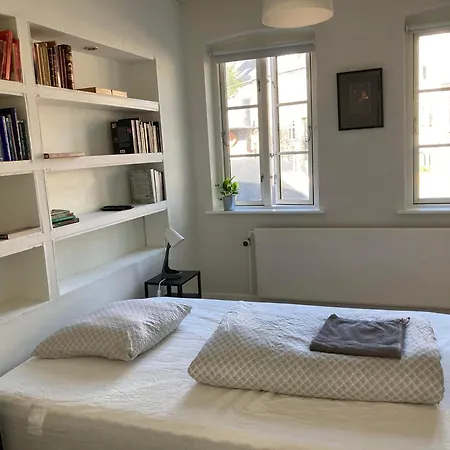 Professor Labri Odense