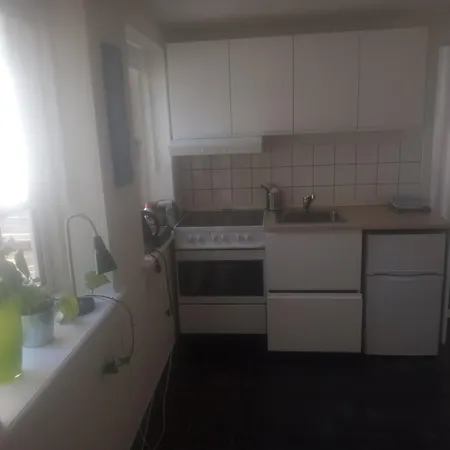 Professor Labri Apartamento Odense