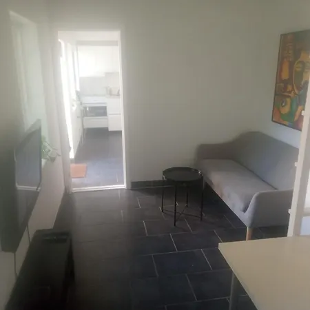 Professor Labri Odense