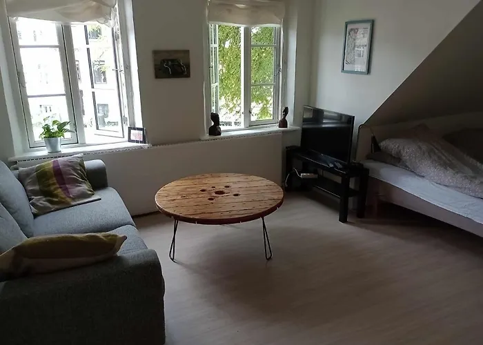 Professor Labri * 欧登塞