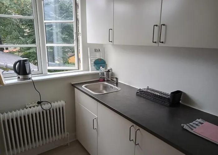 Professor Labri Apartment Odense