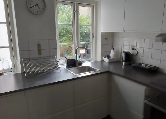 Apartment Professor Labri Odense