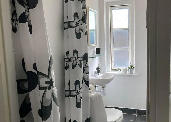 Professor Labri 欧登塞