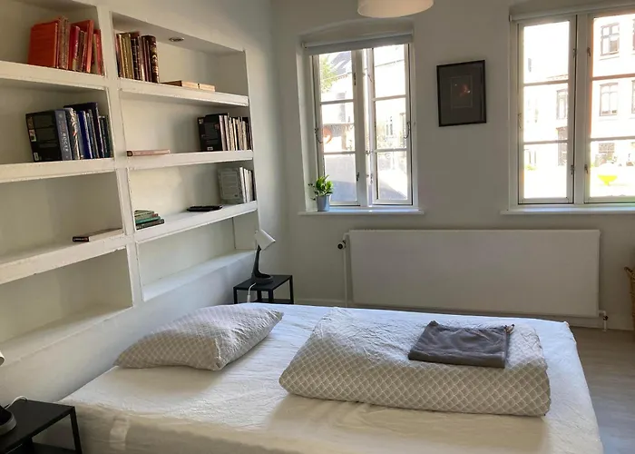 Professor Labri Odense