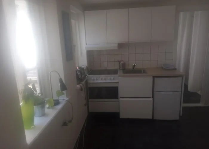 Professor Labri Apartment Odense