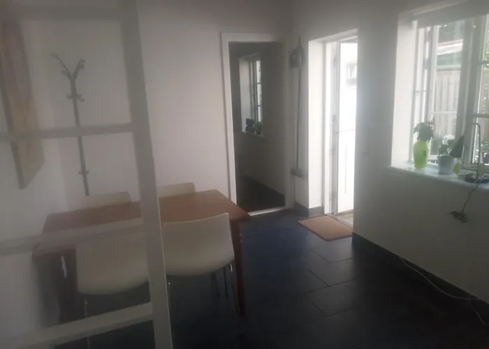 Professor Labri * 欧登塞