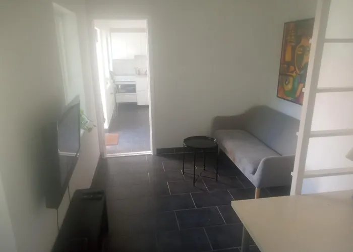 Professor Labri 欧登塞